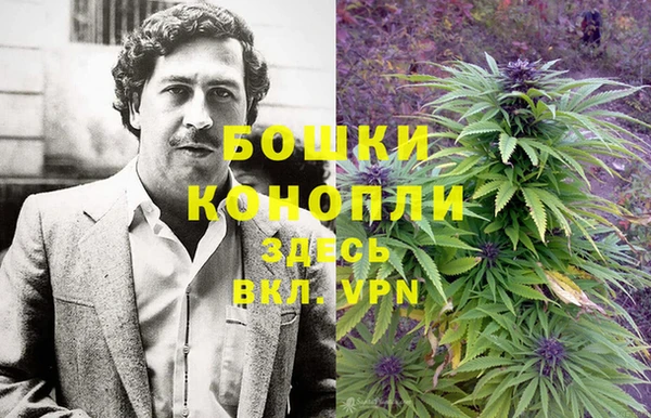 бошки Корсаков