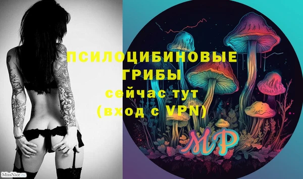гидропоника Костерёво
